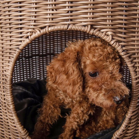 Cane Woven Cat Kennel, Pet Bed, Cat Supplies, Removable and Washable Pet Warm Nest, Knitting Crafts In Summer eprolo