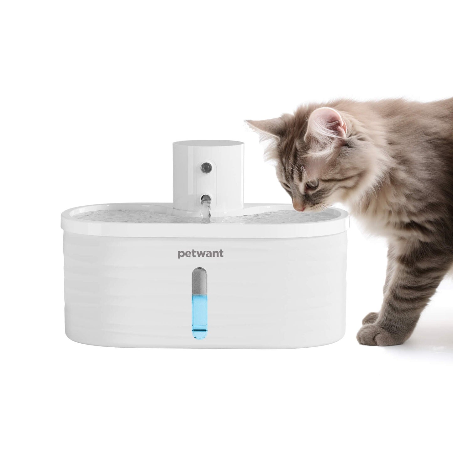 Paiwang 2.5L wireless pet water dispenser infrared sensing multi-mode strong battery life cordless automatic cat water feeder eprolo