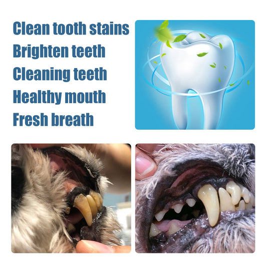 Pet Tooth Beauty Pen Dog Cat Cat Dog Pet tooth cleaning pen tartar stone cleaning tool eprolo