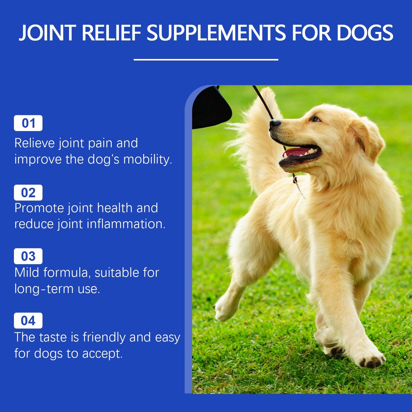 Pet Dog Joint Supplement To Enhance Nutrition Care Joint Health Pet Joint Care Agent eprolo
