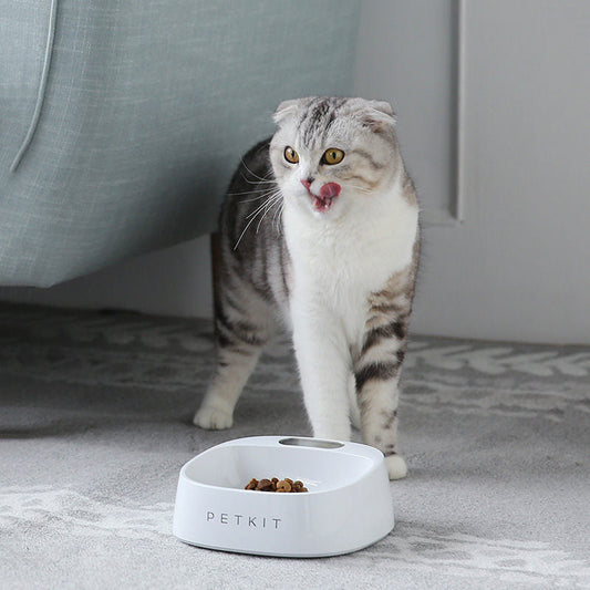 PETKIT Pet smartbowl Dog food bowl digital feeding bowl stand Smart Weighing Large dog slow feeder drinking bowls comedero eprolo