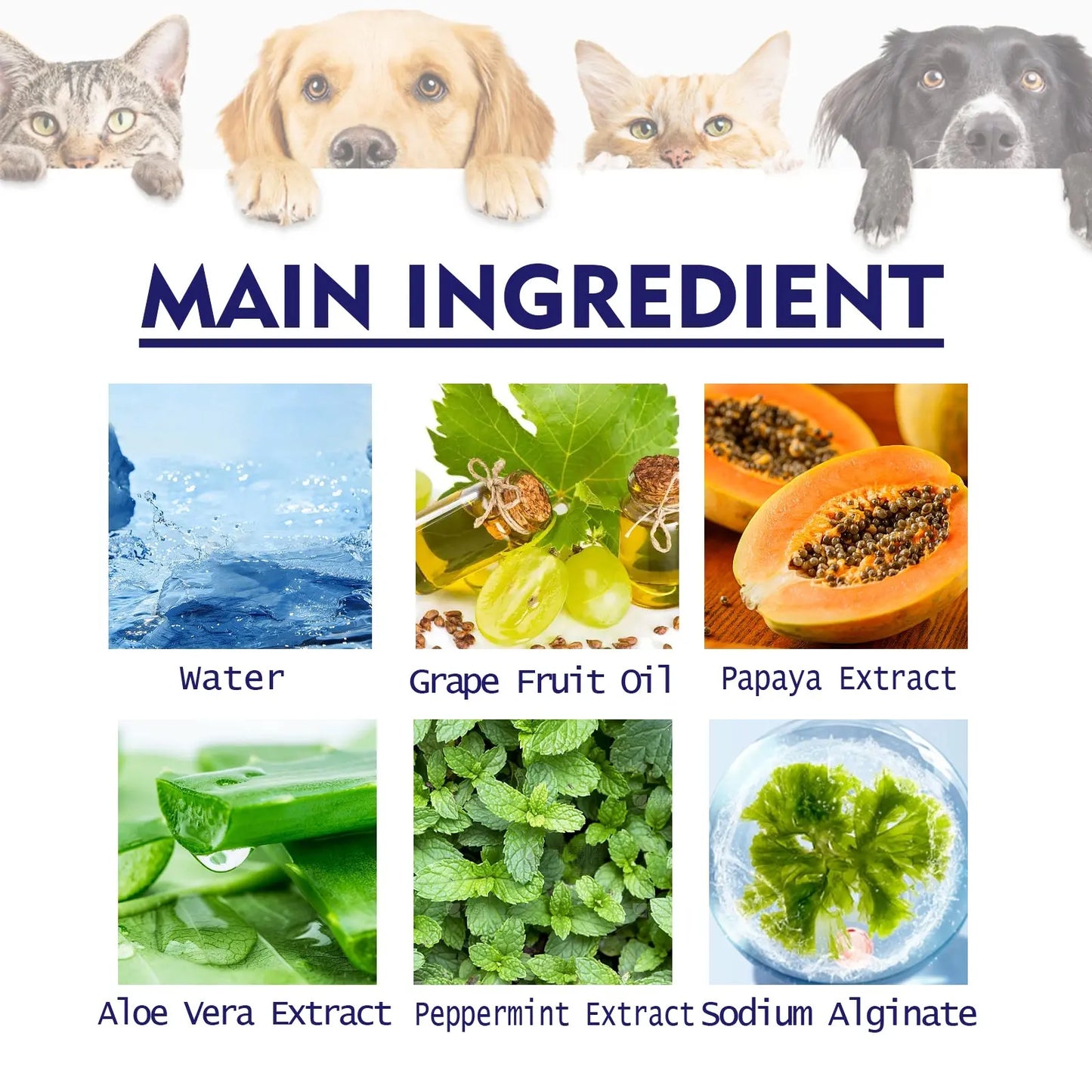 Pet V34 Toothpaste, Pet Breath Freshening Tartar Care Gum Care Toothpaste eprolo