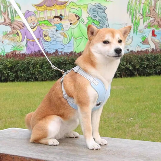New style dog leash breathable pet chest and shoulder strap vest reflective dog leash pet leash eprolo