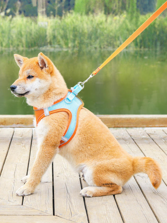 Pet Supplies Vest Pet Leash Cat Dog Chest Strap Breathable Reflective Dog Walking Chain eprolo