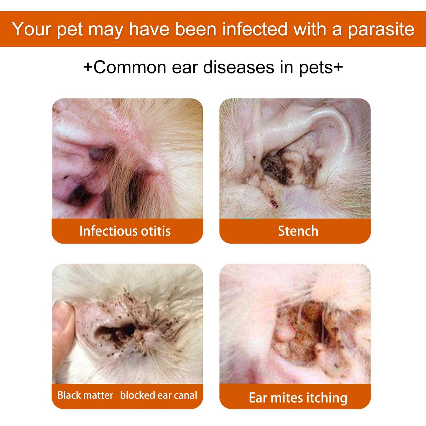 Yegbong Pet Ear Wipes, Pet Ear Cleaning Deodorizing Removing Mite And Earwax Cleaning Wipes eprolo