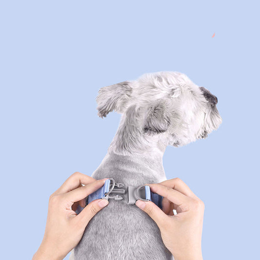 Pet Chest Strap New Macaron Fresh Summer Vest-Style Dog Leash Pet Supplies eprolo