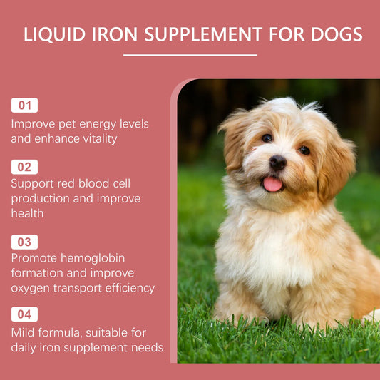 Pet Dog Syrup Pampers Pet Dogs With Gentle Ingredients To Help Absorb Care Supplements eprolo