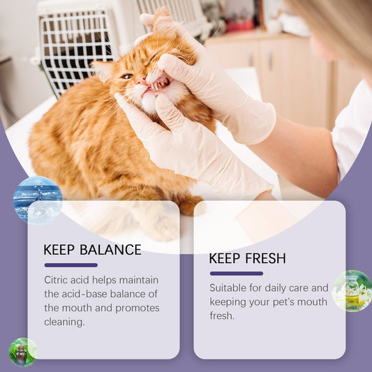 Yegbong Pet Oral Repair Gel, Pet Oral Cleaning And Tooth Stain Removal Yellow Daily Care Gel eprolo