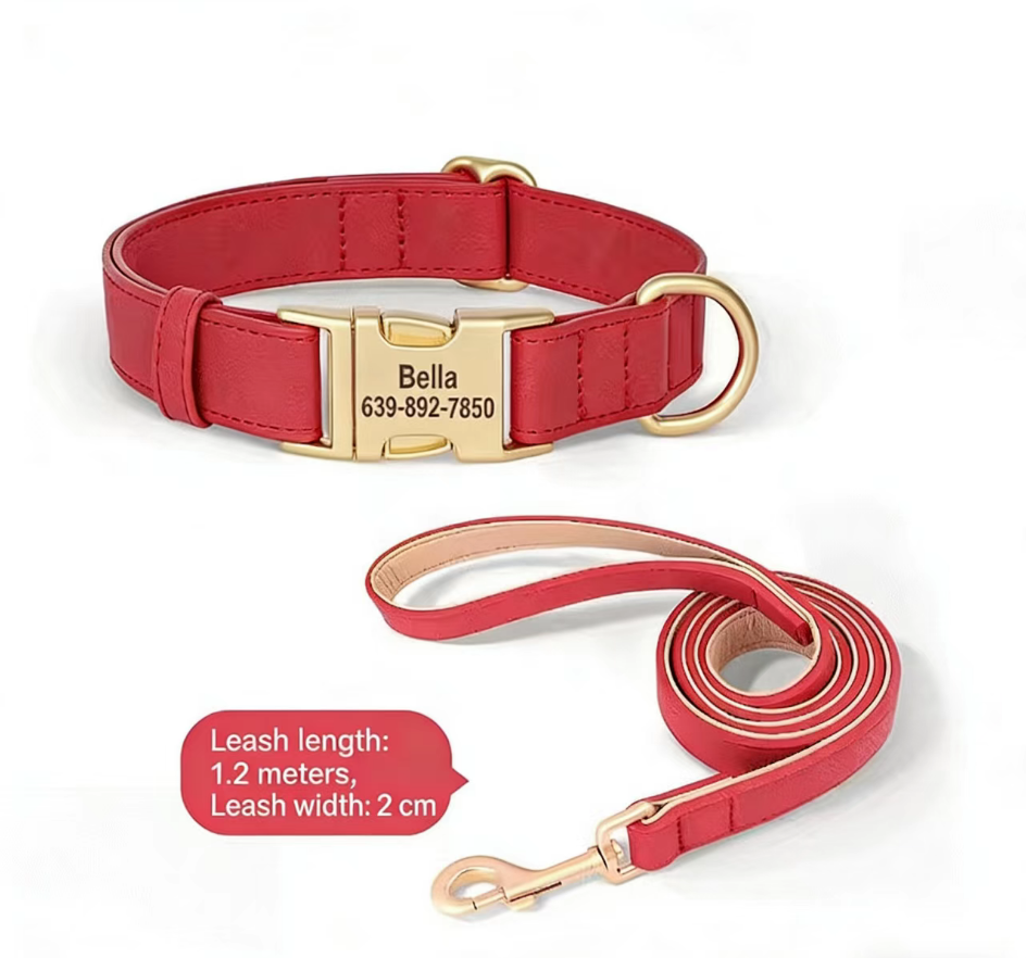 Dog Collar Lettering Teddy Bears Dog Collar Small Dog Going Out Neck Ring corgi Pet Neck Ring Dog Neck Ring eprolo