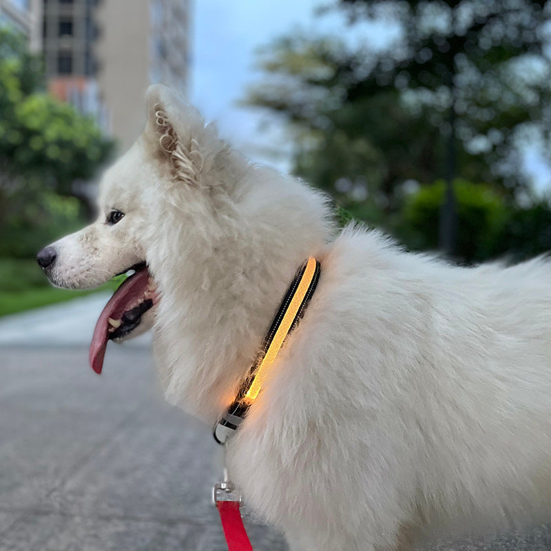 New Led Cat and Dog Collar Usb Rechargeable Mobile Phone App Application Controls Pet Supplies Luminous Collar eprolo