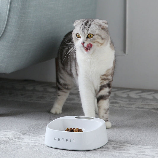 HOOPET New Dog Smart Bowl Eating Drinking Convenient Safe Anti-microbial 5 Style Pet Product eprolo