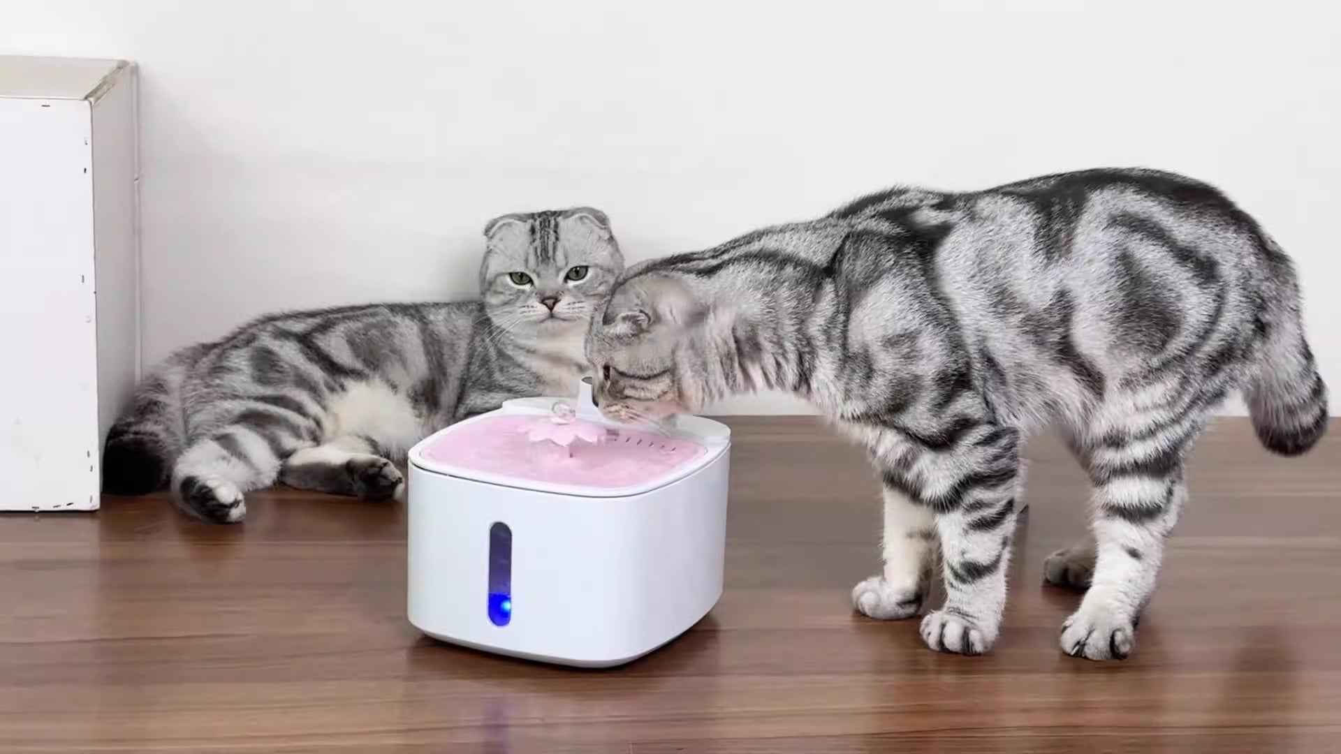 Wireless intelligent induction charging pet water dispenser with large capacity circulating filtration for mobile outdoor cats and dogs to drink water