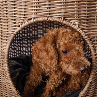 Cane Woven Cat Kennel, Pet Bed, Cat Supplies, Removable and Washable Pet Warm Nest, Knitting Crafts In Summer eprolo