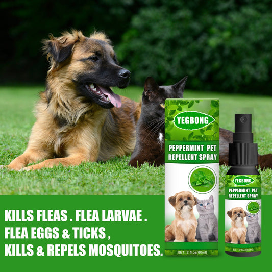 Peppermint Pet Repellent Spray, Dog Mite Spray Pet Mite Fungus Spray For Cats And Dogs eprolo