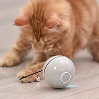 Hot selling pet cleaning tool  pet chewing toy dog toothbrush stick  rubber clean Teeth dogs toothbrush eprolo