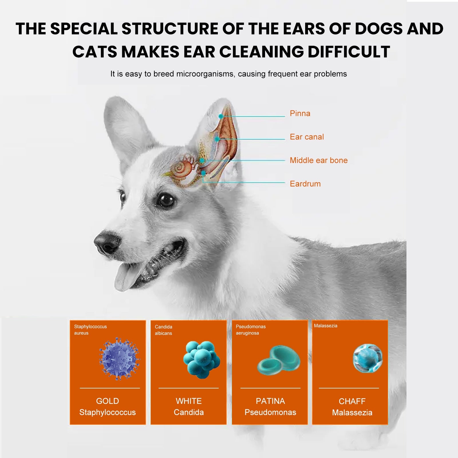 Yegbong Pet Ear Wipes, Pet Ear Cleaning Deodorizing Removing Mite And Earwax Cleaning Wipes eprolo