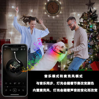 New Led Cat and Dog Collar Usb Rechargeable Mobile Phone App Application Controls Pet Supplies Luminous Collar eprolo
