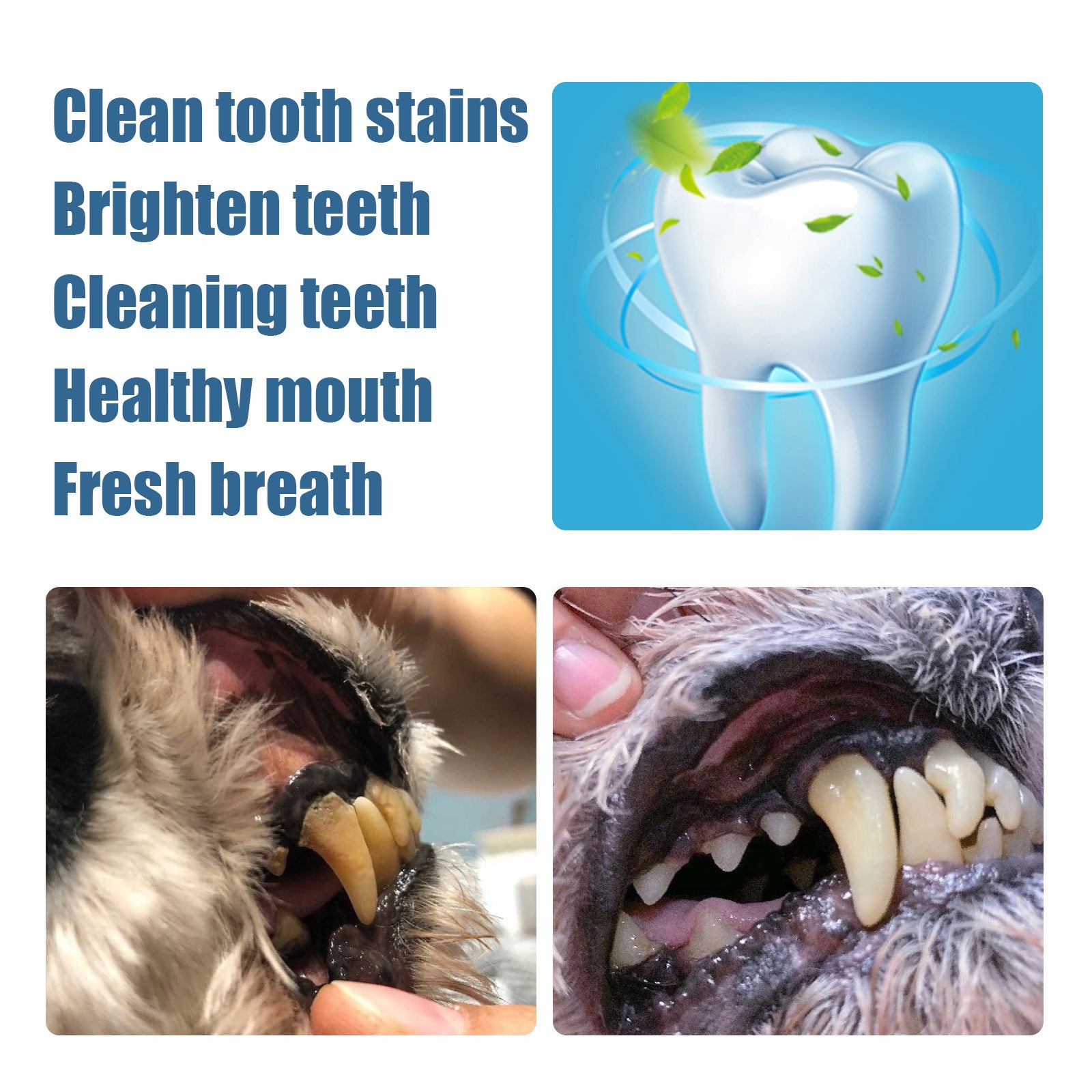 Pet Tooth Beauty Pen Dog Cat Cat Dog Pet tooth cleaning pen tartar stone cleaning tool eprolo