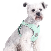 Pet Chest Strap New Macaron Fresh Summer Vest-Style Dog Leash Pet Supplies eprolo