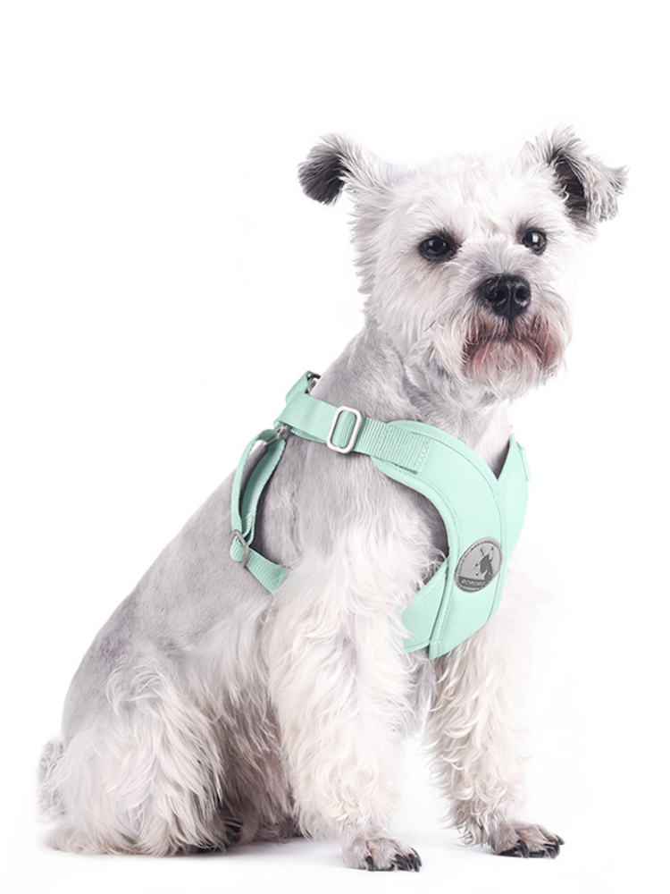 Pet Chest Strap New Macaron Fresh Summer Vest-Style Dog Leash Pet Supplies eprolo