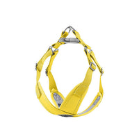 Pet Chest Strap New Macaron Fresh Summer Vest-Style Dog Leash Pet Supplies eprolo