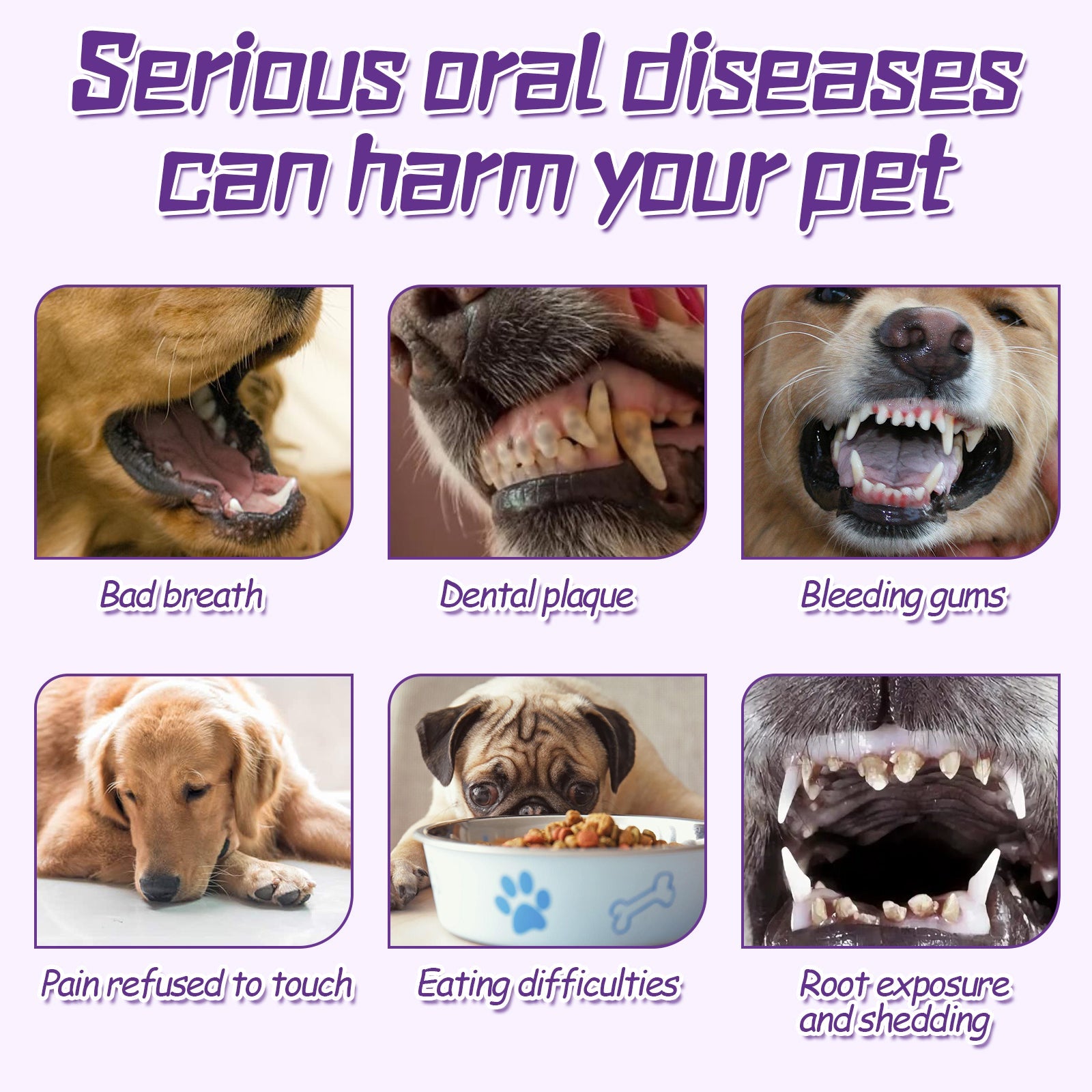 Pet Toothbrush For Dogs, Pet Oral Cleaning Dental Stains Dental Health Care eprolo