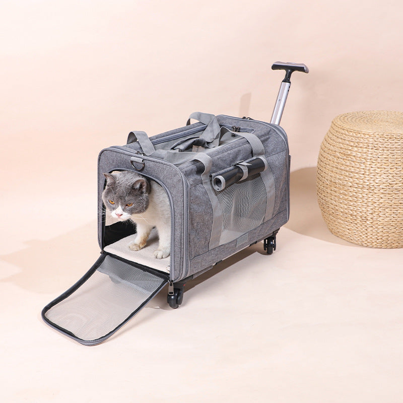 Travel Cat Carrier Summer Dog Pet Bag Foldable Cat Pet Box Breathable Portable Pet Trolley Case eprolo