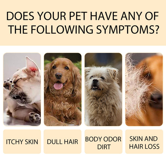 Pet Shampoo, Gentle Cleansing Of Pet Cat And Dog Hair With Smooth Unknotted Shampoo eprolo