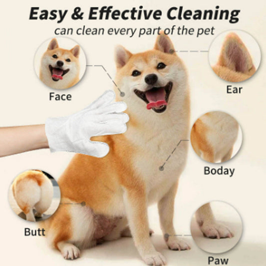 Pet supplies pet ear cleaning wipes ear care finger cots ear cleaning ﻿ eprolo