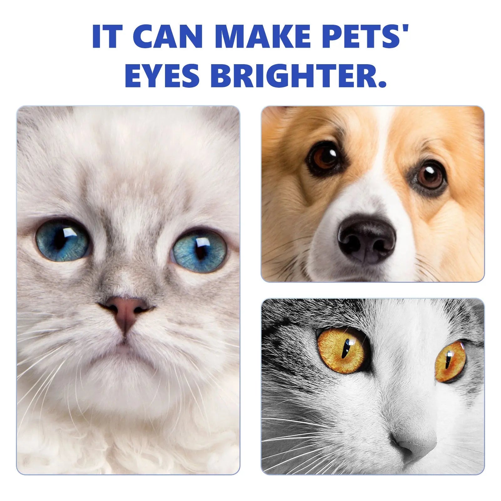 Pet Eye Drops, Eye Cleaning Care for Cats and Dogs, Pet Eye Wash Tear Stain Remover eprolo