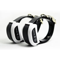 Wireless Electric Dog Pet Fence Containment System Transmitter Collar Waterproof LCD Display Dog Fence Safety Pet Supplies eprolo