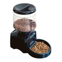 Automatic Pet Feeder fountain Voice Message Recording LCD Screen Dogs Cats Food Dispenser Bowl eprolo