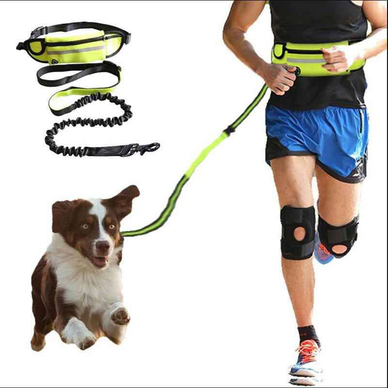 Hands-Free Dog Leash with Shock-Absorbing Bungee | Running & Training Waist Belt with Phone Pocket & Water Bottle Holder for Large Dogs up to 180lbs