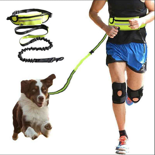 Hands-Free Dog Leash with Shock-Absorbing Bungee | Running & Training Waist Belt with Phone Pocket & Water Bottle Holder for Large Dogs up to 180lbs