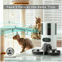 Double Meal Feeder Double Meal Tray Stainless Steel Feeder Automatic Feeder Pet Feeder eprolo
