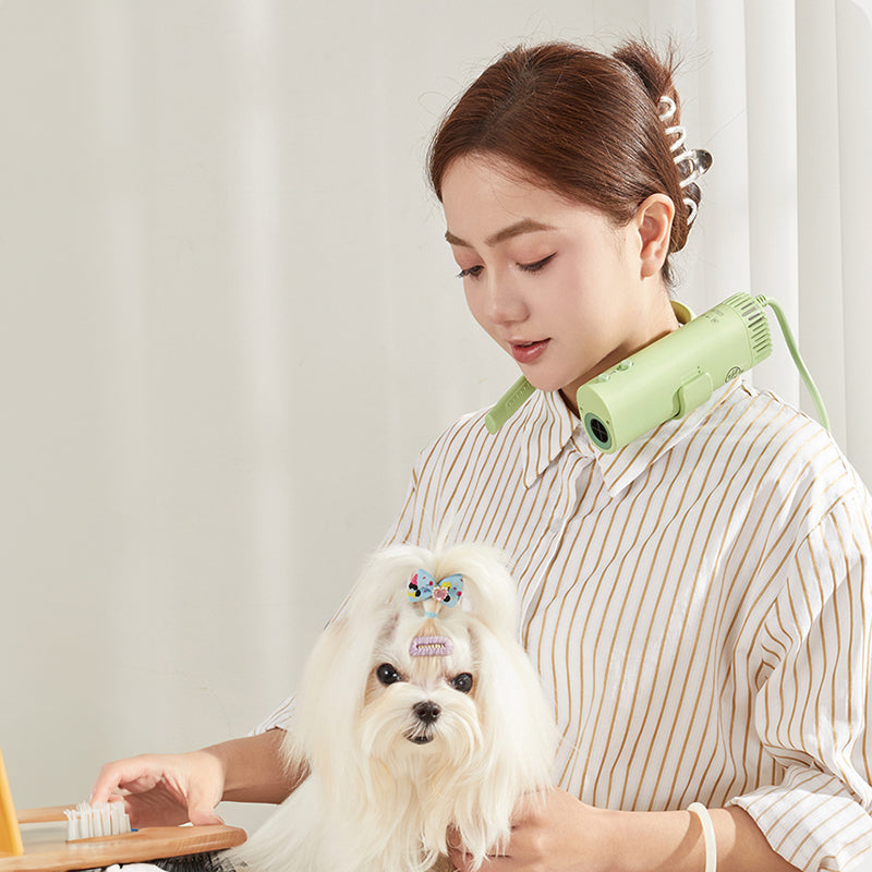 Pet hair dryer for pet care: high power, quiet, energy-saving, dog grooming, fast drying. Only suitable for 220V countries. eprolo