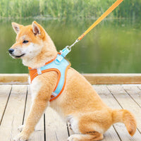 Pet Supplies Vest Pet Leash Cat Dog Chest Strap Breathable Reflective Dog Walking Chain eprolo