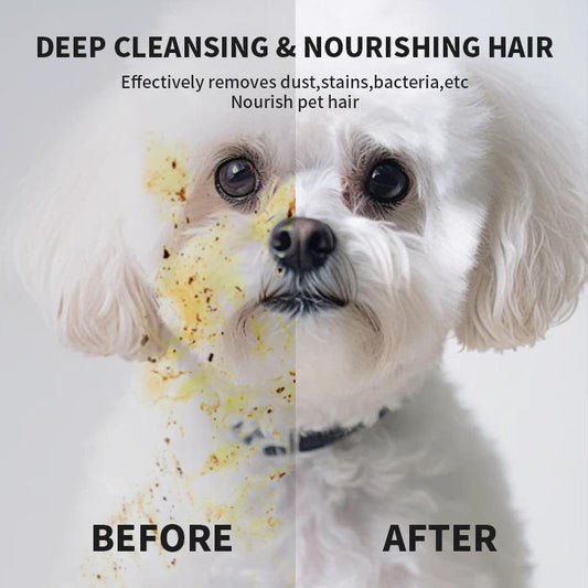 Pet supplies pet ear cleaning wipes ear care finger cots ear cleaning ﻿ eprolo