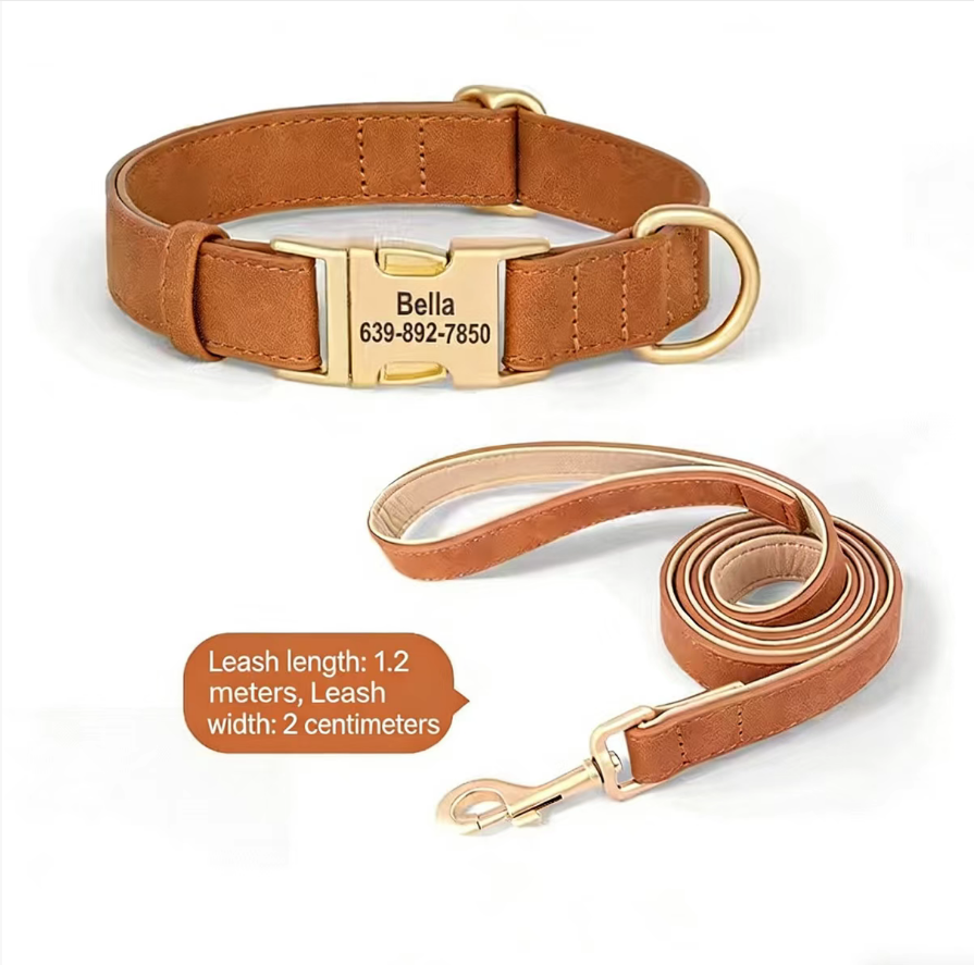 Dog Collar Lettering Teddy Bears Dog Collar Small Dog Going Out Neck Ring corgi Pet Neck Ring Dog Neck Ring eprolo