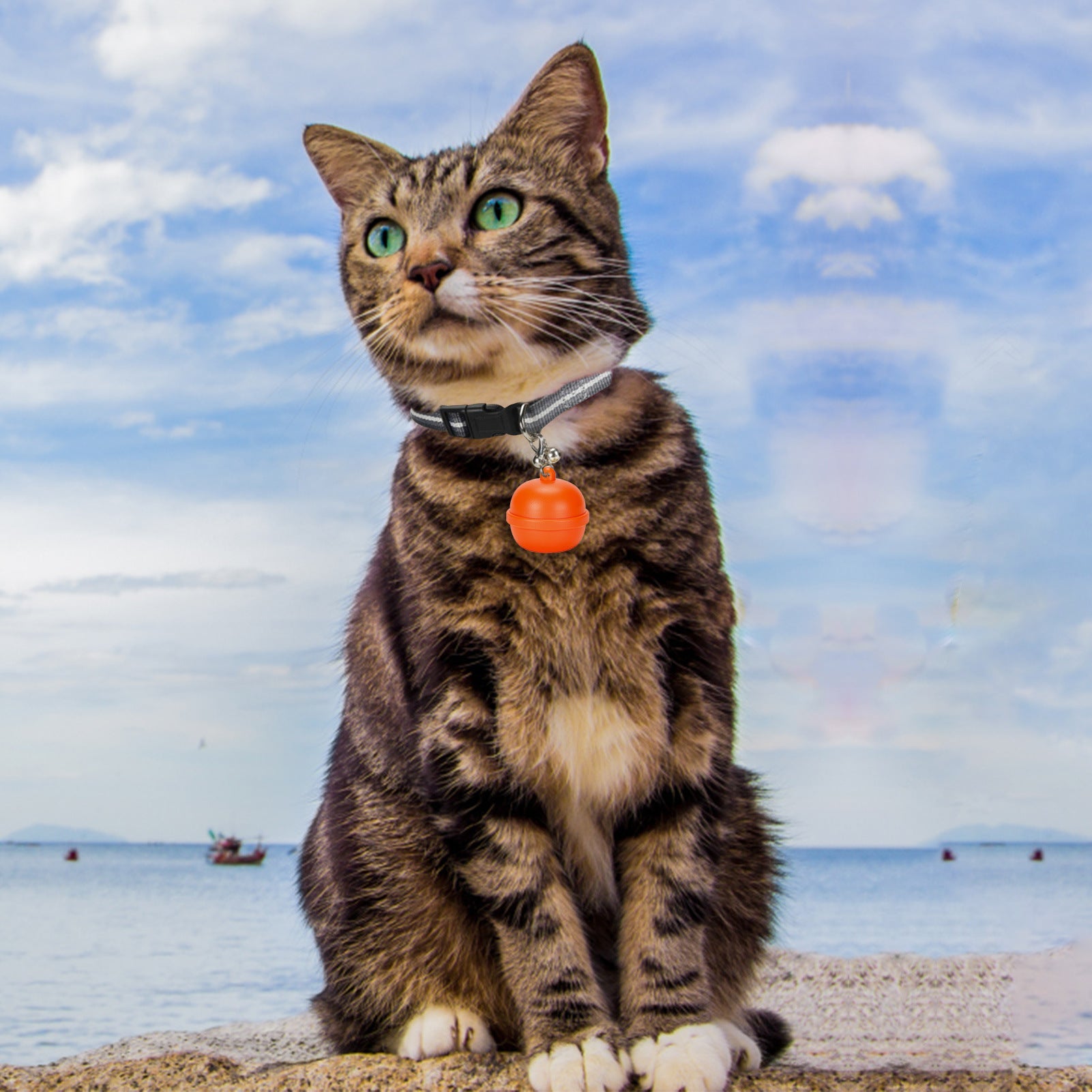 Old People Children Cats And Dogs Lost Waterproof Tracker Pet Locator Pet Collar Bell Anti-Loss Device eprolo