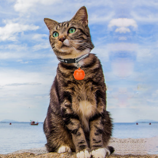 Old People Children Cats And Dogs Lost Waterproof Tracker Pet Locator Pet Collar Bell Anti-Loss Device eprolo