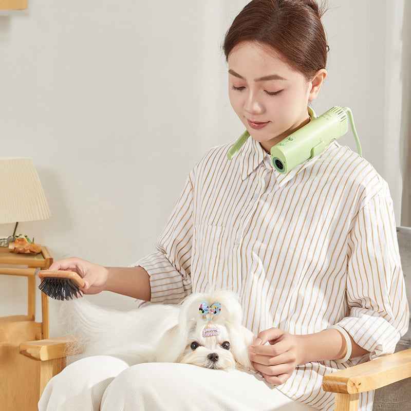 Pet hair dryer for pet care: high power, quiet, energy-saving, dog grooming, fast drying. Only suitable for 220V countries.
