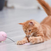 Hot selling pet cleaning tool  pet chewing toy dog toothbrush stick  rubber clean Teeth dogs toothbrush eprolo