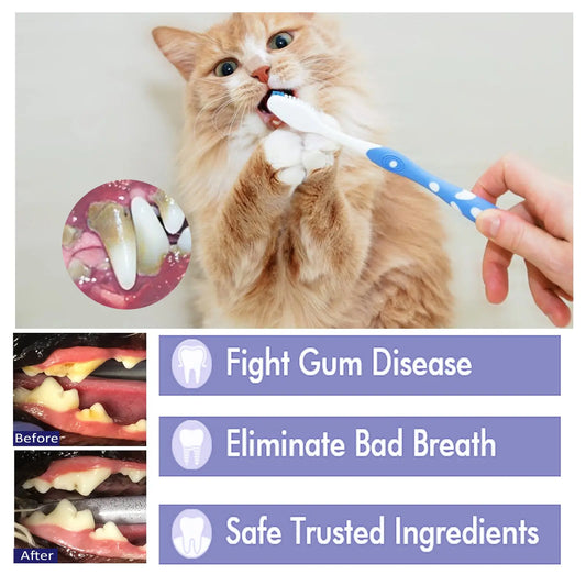 Pet V34 Toothpaste, Pet Breath Freshening Tartar Care Gum Care Toothpaste eprolo