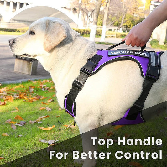 New Pet Traction Dog Explosion-Proof Punch Chest Strap Undershirt Type Reflective Pet Chest Strap eprolo