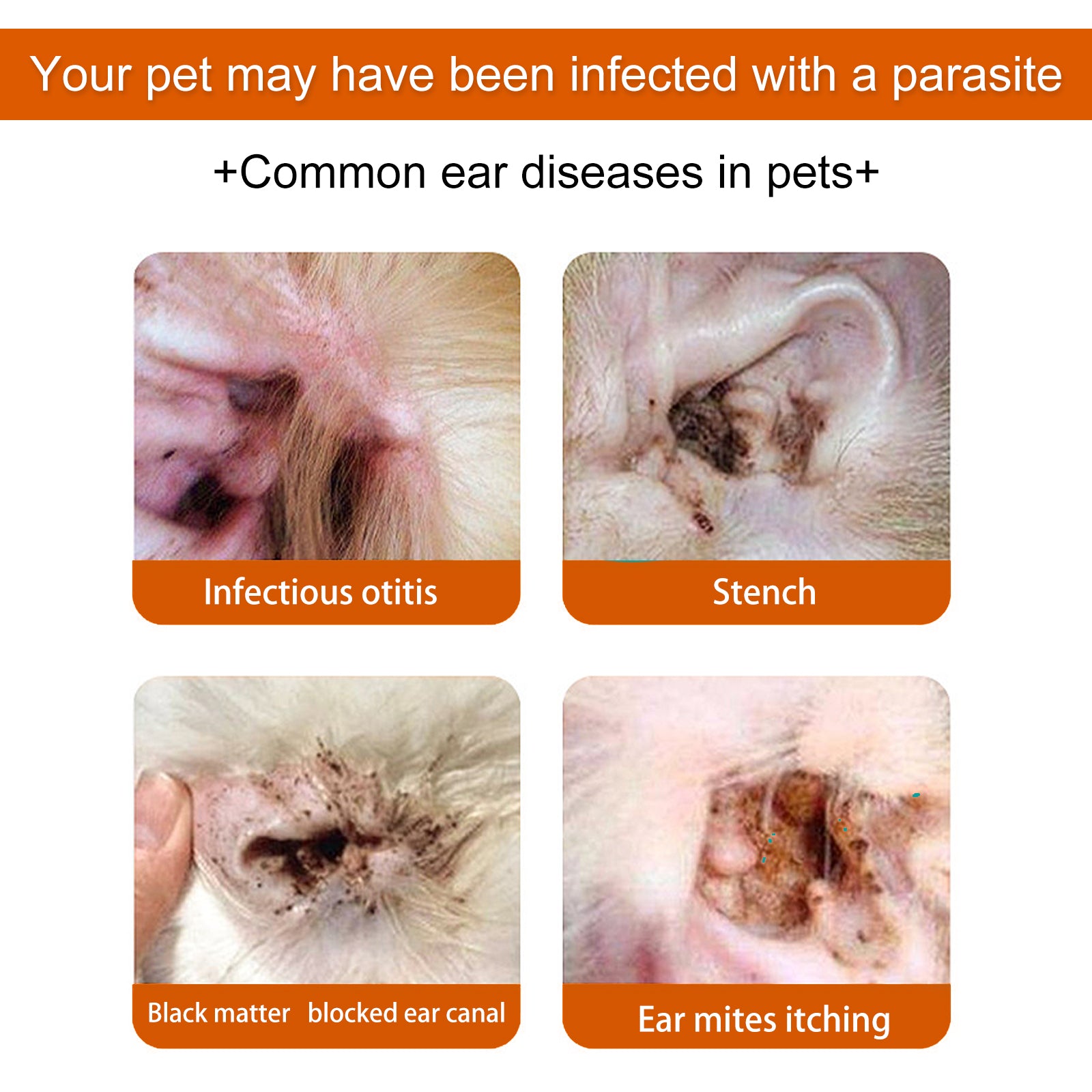 Yegbong Pet Ear Wipes, Pet Ear Cleaning Deodorizing Removing Mite And Earwax Cleaning Wipes eprolo