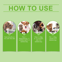 Pet Probiotic Tablets Improve Gut Health And Promote Nutritional Absorption Of Pet Care Supplements eprolo