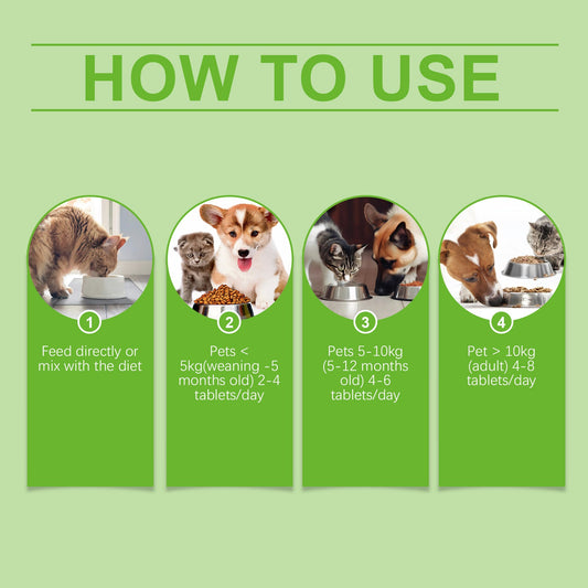 Pet Probiotic Tablets Improve Gut Health And Promote Nutritional Absorption Of Pet Care Supplements eprolo