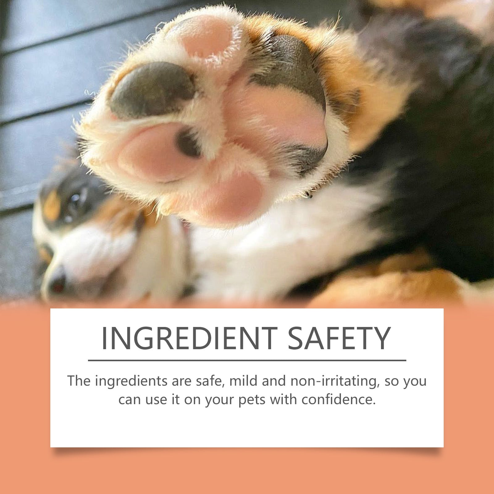 Pet Anti-Crack Paw Care Cream, Pet Paw Moisturizing Care Anti-Crack Soft Foot Paw Care Cream eprolo