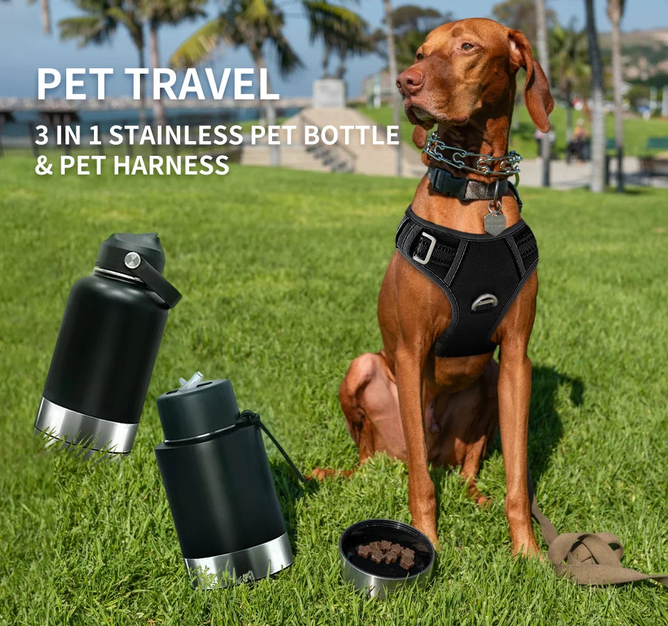 3-in-1 Stainless Steel Dog Water Bottle & Feeder (32oz/1L) - Large Capacity Travel Bowl for Hiking & Walking